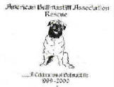 Bullmastiff Two-Year Calendar